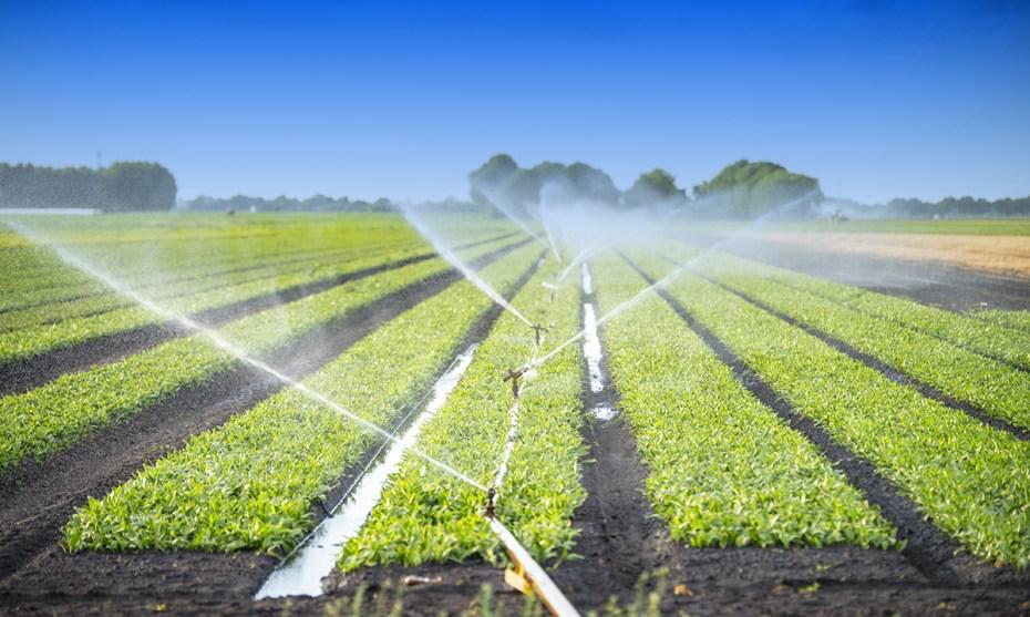 Agricultural Sprinkler Irrigation